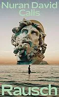 E-Book (epub) Rausch von Nuran David Calis