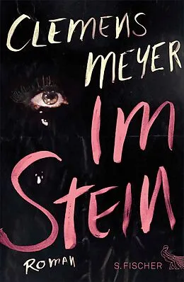 E-Book (epub) Im Stein von Clemens Meyer