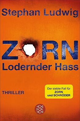 E-Book (epub) Zorn - Lodernder Hass von Stephan Ludwig