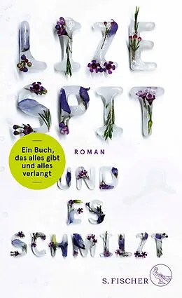 E-Book (epub) Und es schmilzt von Lize Spit