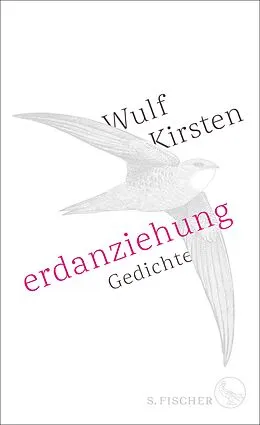 E-Book (epub) Erdanziehung von Wulf Kirsten