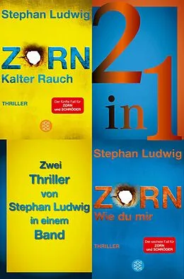 E-Book (epub) Kalter Rauch / Wie du mir  Zwei Zorn-Thriller in einem Band von Stephan Ludwig