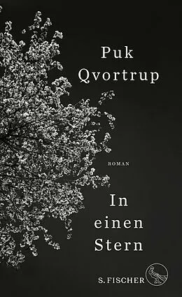 E-Book (epub) In einen Stern von Puk Qvortrup