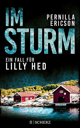 E-Book (epub) Im Sturm von Pernilla Ericson