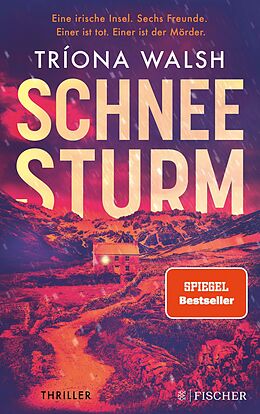 E-Book (epub) Schneesturm von Tríona Walsh