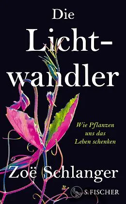 E-Book (epub) Die Lichtwandler von Zoë Schlanger