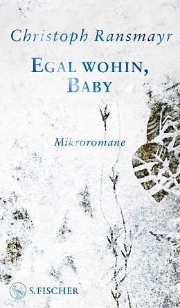 E-Book (epub) Egal wohin, Baby von Christoph Ransmayr