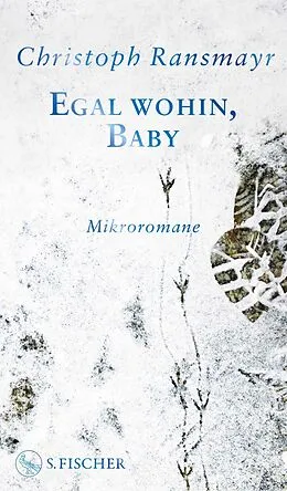 E-Book (epub) Egal wohin, Baby von Christoph Ransmayr
