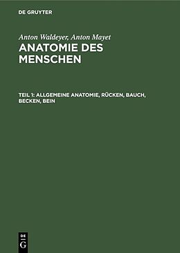 Fester Einband Anton Waldeyer; Anton Mayet: Anatomie des Menschen / Allgemeine Anatomie, Rücken, Bauch, Becken, Bein von Anton Waldeyer, Anton Mayet