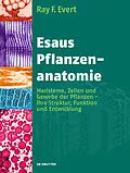 PDF Esaus Pflanzenanatomie von Ray F. Evert