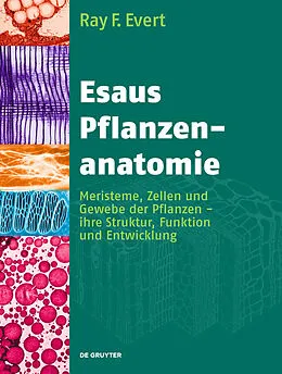 PDF Esaus Pflanzenanatomie von Ray F. Evert