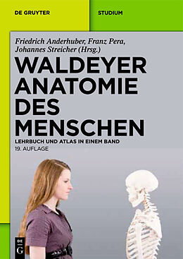 Fester Einband Waldeyer - Anatomie des Menschen von Anton Waldeyer