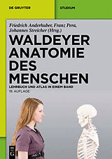 E-Book (pdf) Waldeyer - Anatomie des Menschen von 