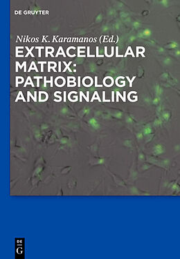 Fester Einband Extracellular Matrix: Pathobiology and Signaling von 
