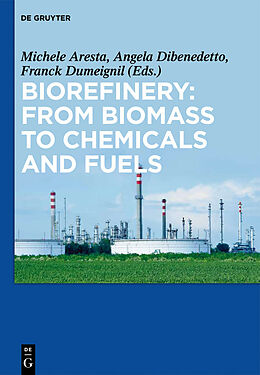 E-Book (pdf) Biorefinery: From Biomass to Chemicals and Fuels von 