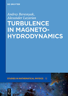 Fester Einband Turbulence in Magnetohydrodynamics von Andrey Beresnyak, Alexander Lazarian