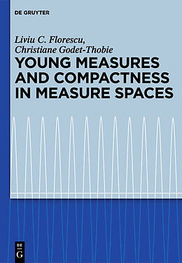 Livre Relié Young Measures and Compactness in Measure Spaces de Christiane Godet-Thobie, Liviu C. Florescu