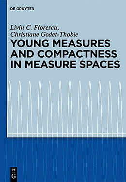 eBook (pdf) Young Measures and Compactness in Measure Spaces de Liviu C. Florescu, Christiane Godet-Thobie