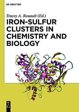 Fester Einband Iron-Sulfur Clusters in Chemistry and Biology von 