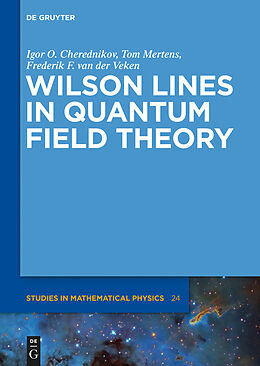 eBook (pdf) Wilson Lines in Quantum Field Theory de Igor Olegovich Cherednikov, Tom Mertens, Frederik F. Van der Veken