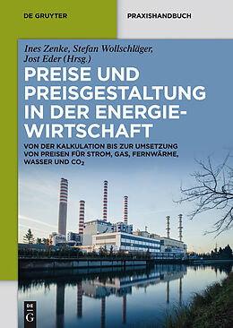E-Book (pdf) Preise und Preisgestaltung in der Energiewirtschaft von 