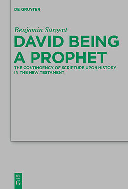 Fester Einband David Being a Prophet von Benjamin Sargent