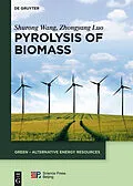 E-Book (pdf) Pyrolysis of Biomass von Shurong Wang, Zhongyang Luo