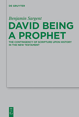 E-Book (epub) David Being a Prophet von Benjamin Sargent