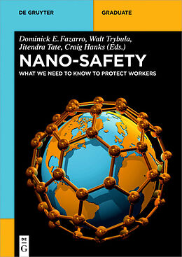 E-Book (pdf) Nano-Safety von 