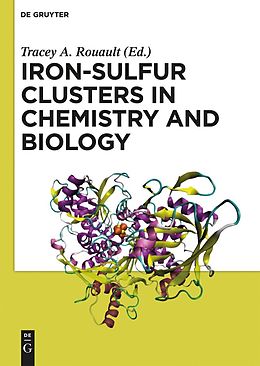 eBook (epub) Iron-Sulfur Clusters in Chemistry and Biology de 