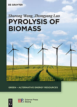 eBook (epub) Pyrolysis of Biomass de Shurong Wang, Zhongyang Luo
