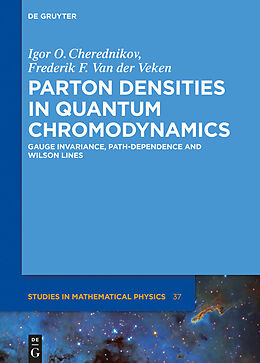 eBook (pdf) Parton Densities in Quantum Chromodynamics de Igor Olegovich Cherednikov, Frederik F. van der Veken