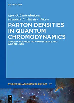 E-Book (pdf) Parton Densities in Quantum Chromodynamics von Igor Olegovich Cherednikov, Frederik F. van der Veken