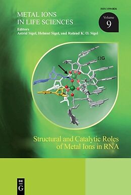 Livre Relié Structural and Catalytic Roles of Metal Ions in RNA de 