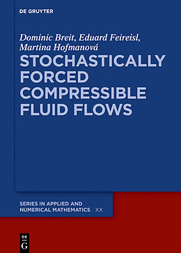 Fester Einband Stochastically Forced Compressible Fluid Flows von Dominic Breit, Eduard Feireisl, Martina Hofmanová