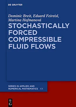E-Book (epub) Stochastically Forced Compressible Fluid Flows von Dominic Breit, Eduard Feireisl, Martina Hofmanová