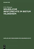 E-Book (pdf) Bäuerliche Besitzrechte im Bistum Hildesheim von H. D. Illemann