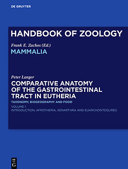 Fester Einband Comparative Anatomy of the Gastrointestinal Tract in Eutheria I von Peter Langer