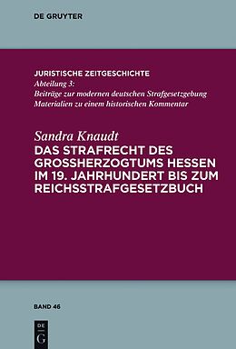 Fester Einband Das Strafrecht des Großherzogtums Hessen im 19. Jahrhundert bis zum Reichsstrafgesetzbuch von Sandra Knaudt