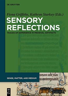 eBook (epub) Sensory Reflections de 