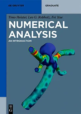 PDF Numerical Analysis von Timo Heister, Leo G. Rebholz, Fei Xue