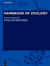 E-Book (epub) Phylum Bryozoa von 