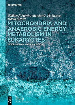 ePUB Mitochondria and Anaerobic Energy Metabolism in Eukaryotes von William F. Martin, Aloysius G. M. Tielens, Marek Mentel