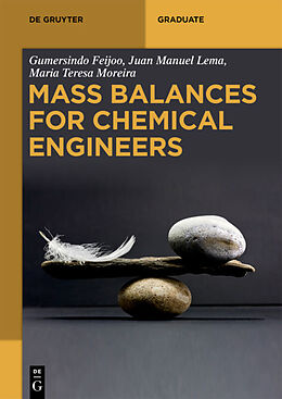 Kartonierter Einband Mass Balances for Chemical Engineers von Gumersindo Feijoo, Juan Manuel Lema, Maria Teresa Moreira