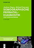 E-Book (pdf) Sonographische Pränataldiagnostik von Michael Entezami, Andreas Hagen