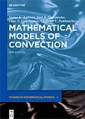 E-Book (epub) Mathematical Models of Convection von Victor K. Andreev, Yuri A. Gaponenko, Olga N. Goncharova