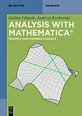 E-Book (pdf) Multi-variable Calculus von Galina Filipuk, Andrzej Kozlowski