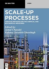 eBook (pdf) Scale-Up Processes de 