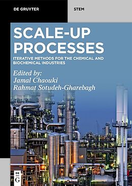 E-Book (epub) Scale-Up Processes von 