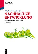 Kartonierter Einband Nachhaltige Entwicklung von Michael Hauff